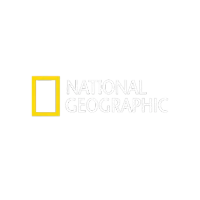 National Geographic-logo voor documentaires en natuurprogramma's via Nederlandse IPTV.